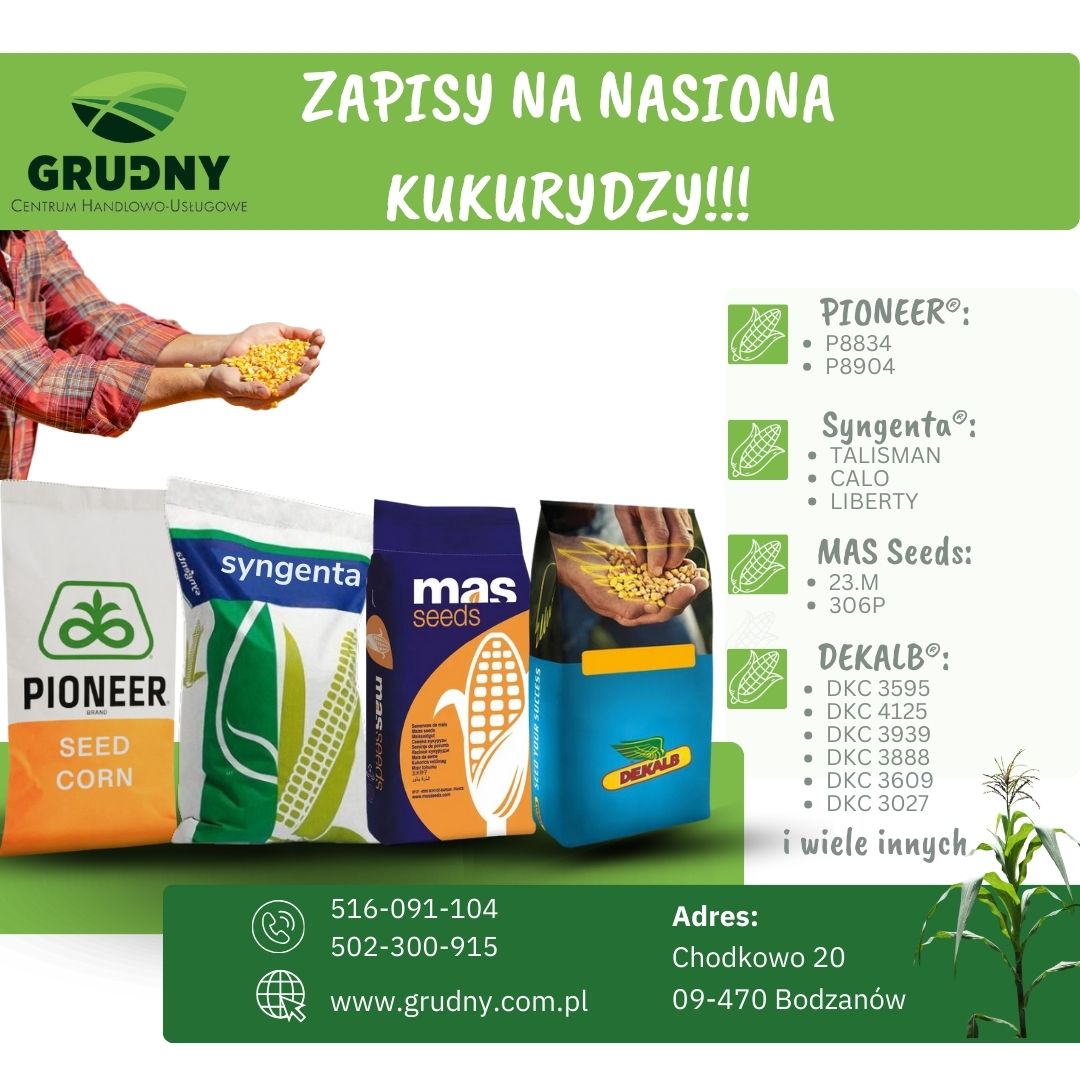 Nasiona kukurydzy Pioneer®, Syngenta®, MAS Seeds, DEKALB®